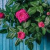 芳的头像