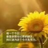 金色阳光的头像
