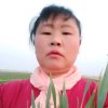 燕子的头像
