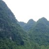 石榴的头像