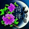唯一的头像
