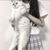 小星的头像