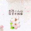 塔修的头像