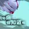 张博龙的头像