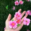 珍惜明天的头像
