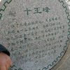过眼云烟的头像