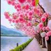 今生有缘的头像