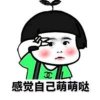 风花雪月々醉三少的头像