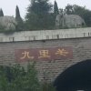 ༄༊࿆科霸࿐的头像
