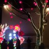 小英的头像