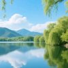 自娱自乐的头像