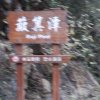 无花果的头像
