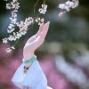 艳子的头像