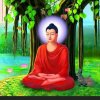 慧渡梅子小号的头像