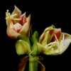天天快乐的头像