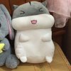 ………的头像