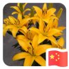绘声绘色的头像