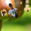 快乐雄哥的头像
