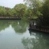 默默的等的头像