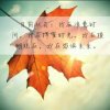 城市宝贝的头像