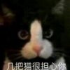 惘的头像