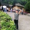 江南一别的头像