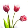 李姐(退出)的头像
