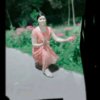平凡的我的头像