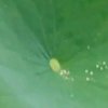 笑看人生（暂退）的头像