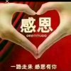 天若有情的头像
