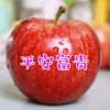 红苹果的头像