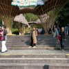 小花的头像