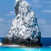 碌碌无为的头像