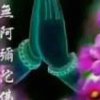 曾经的美的头像
