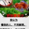 我家有喜的头像