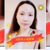太阳花的头像