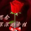 如意的头像