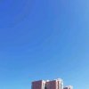 莫言（暂退）的头像