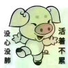 小荷的头像