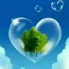 阿威的头像