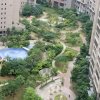 的头像