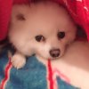 蓦然回首的头像