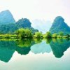 陈虎的头像