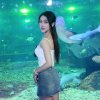 倾笑的头像