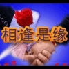 相守世缘的头像
