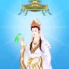 东阳的头像