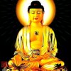 秦淮人家的头像