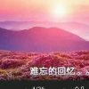 难忘的回忆的头像