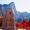 家缘总创锦绣山源的头像