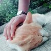 爱。的头像
